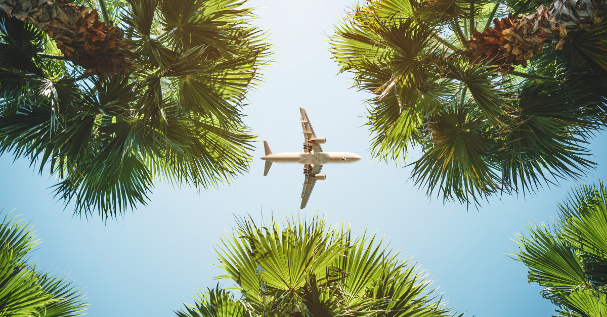 Airplane Through Trees