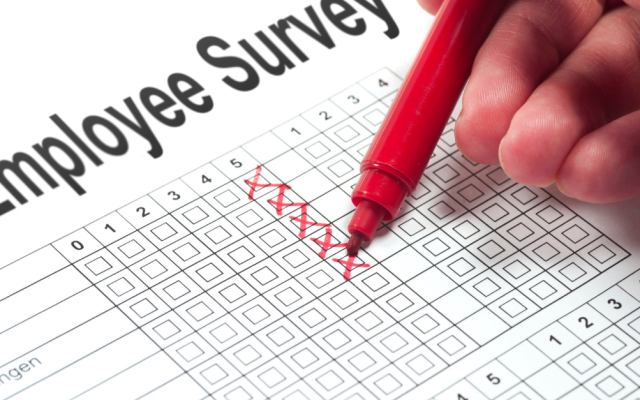 The Power of Employee Surveys for Organizations
