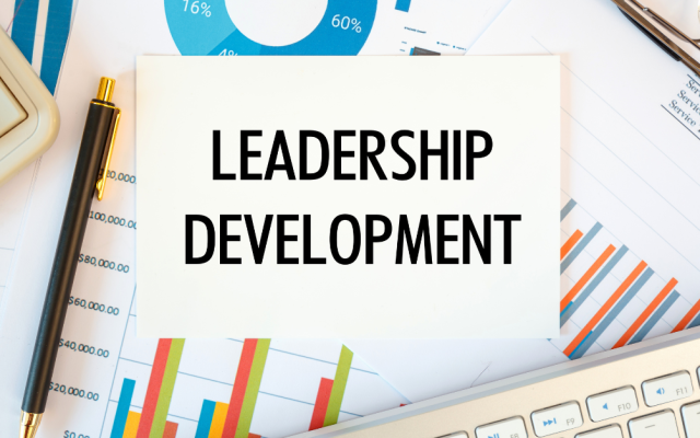 A Strategic Guide to Leadership Development Plans