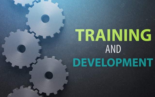 What is Training and Development?