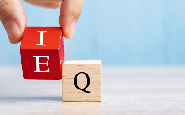 Why Is Emotional Intelligence Important?